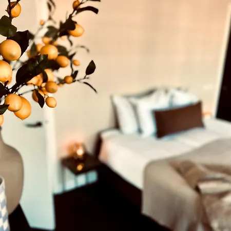 Guest house Het Oude Raadhuis 3*