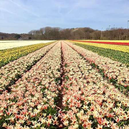 Casa de hóspedes Het Oude Raadhuis Castricum