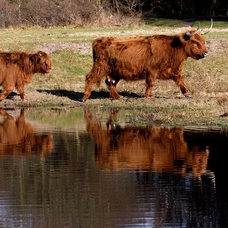 Het Oude Raadhuis 4*