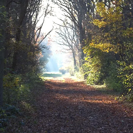 Het Oude Raadhuis Pensjonat 4*