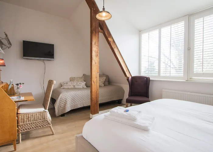 Het Oude Raadhuis 게스트하우스 3*