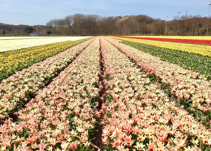 게스트하우스 Het Oude Raadhuis 카스트리컴