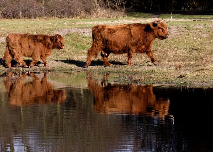 Het Oude Raadhuis 3*