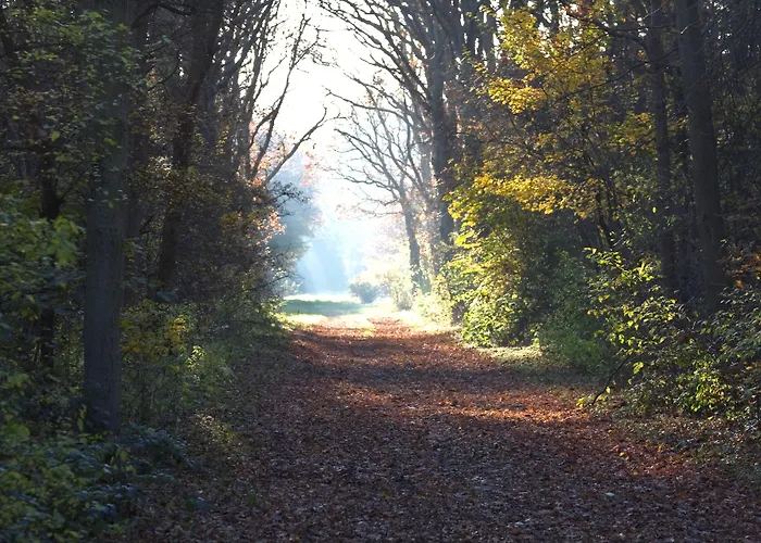 Het Oude Raadhuis 게스트하우스 3*